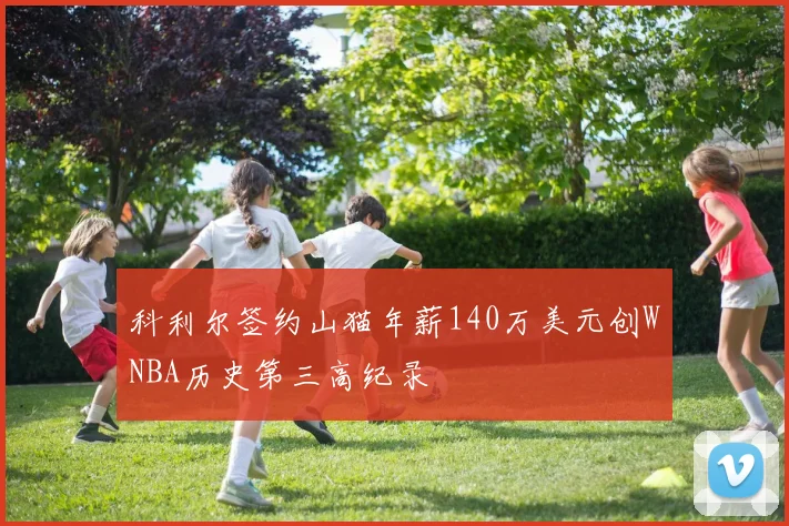 科利尔签约山猫年薪140万美元创WNBA历史第三高纪录