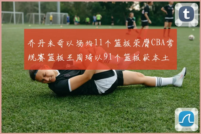 乔丹米奇以场均11个篮板荣膺CBA常规赛篮板王周琦以91个篮板获本土篮板王称号